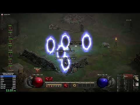 D2R WORLD RECORD 8 MAN SPEEDRUN DEL CONC pally POV