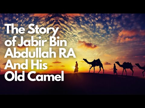Miraculous Transformation: Jabir bin Abdullah's Old Camel | Story from the Life of Rasul Allah PBUH