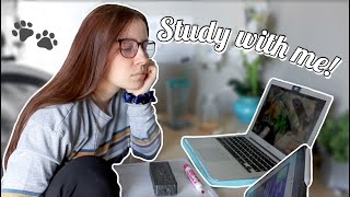 REAL TIME STUDY WITH ME: no music 1 hour pomodoro, STUDY BUDDY SUNDAY!