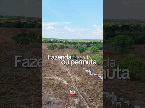 FAZENDA À VENDA OU PERMUTA – AMARALINA/GO | 132 alqueires (639 ha)  #fazendaavenda  #agro