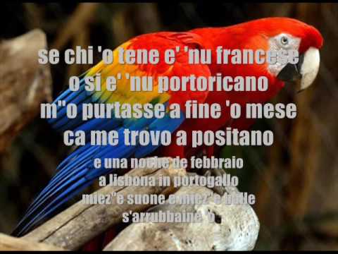 download lagu mp3 mp4 Cocorito Canzone, download lagu Cocorito Canzone gratis, unduh video klip Download Cocorito Canzone Mp3 dan Mp4 Free All Gratis