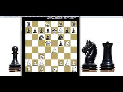 Spiralni mat dva Skakaca BLAKE vs HOOKE  u FILIDOROVOJ odbrani   # 244 sah i mat