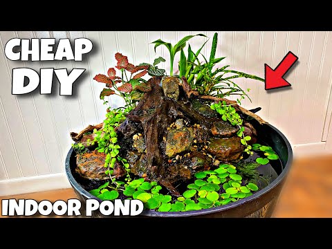 DIY Indoor Pond For Guppy Breeding! (Tutorial)