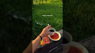 Download lagu Story wa ngopi pagi hari ' lewung farel prayoga' mp3 Download lagu Story wa ngopi pagi hari ' lewung farel prayoga' mp3