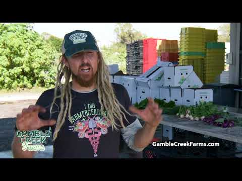 Gamble Creek Farms: Ed Chiles' 26-Acre Regenerative Vision