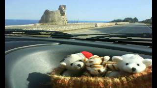 orsacchiotti e tigre in vacanza ascoltano fabrizio Moro