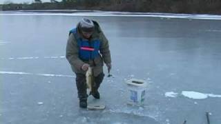 preview picture of video 'January 2011 Ice Fishing'