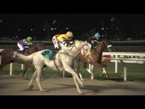 230318 c10 QUESADILHA