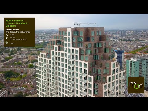 The Roofs | MOSO Bamboo X-treme