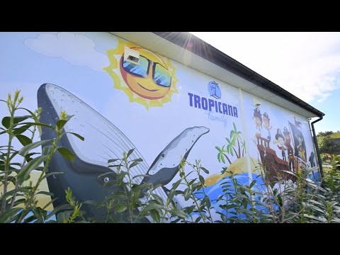 Domki Tropicana Family, Kwiatowa 14, 76-156 Bobolin