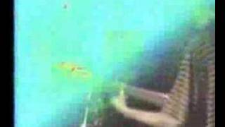 Cherry Poppin&#39; Daddies 9/30/93: Dirty Mutha Fuzz (12 of 22)