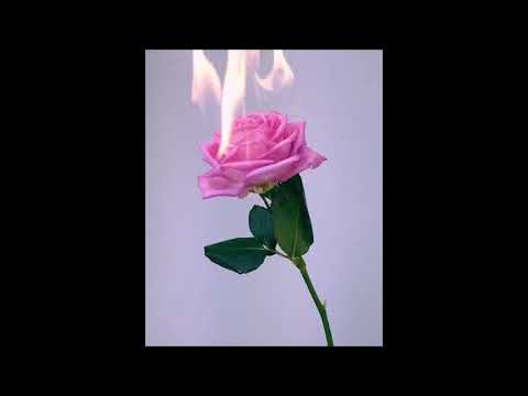 SMUTNY LOVESONG FREESTYLE BERLIN 2019