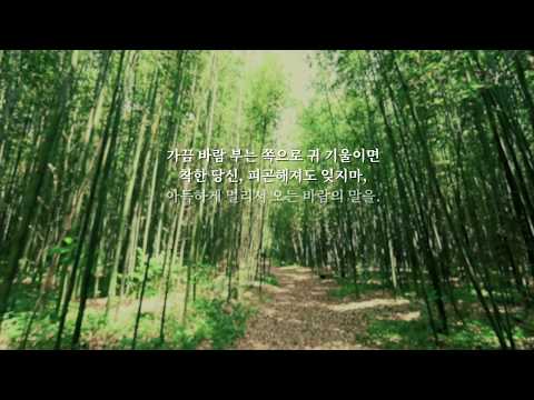 [2019] Jeonju Int'l Sori Festival : 'Wish on the Winds'   PROMO