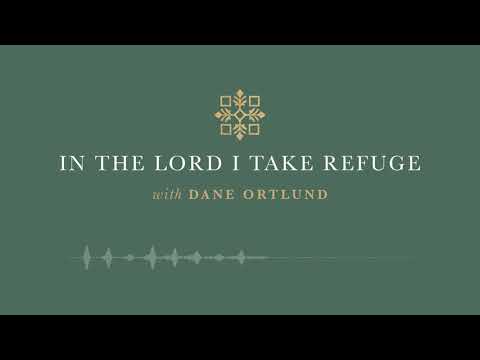 In the Lord I Take Refuge: Psalm 10 - Why Do You Hide Yourself?