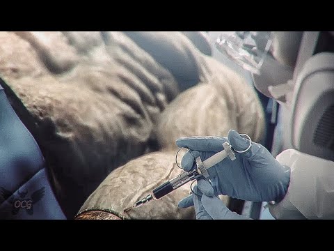 RESIDENT EVIL 3 REMAKE Cinematic - Creating Nemesis Cinematic