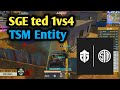 SGE Ted 1vs 4 Tsm Entity In Pmis