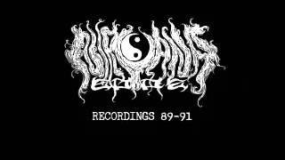 NIRVANA 2002 - Recordings 89/91