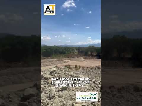 Video 4 de Reservas de Gavilán