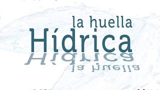 Proyecto Low Carbon - Huella Hídrica