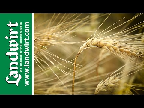 Nufarm Welldone Pack und Soleil | landwirt.com