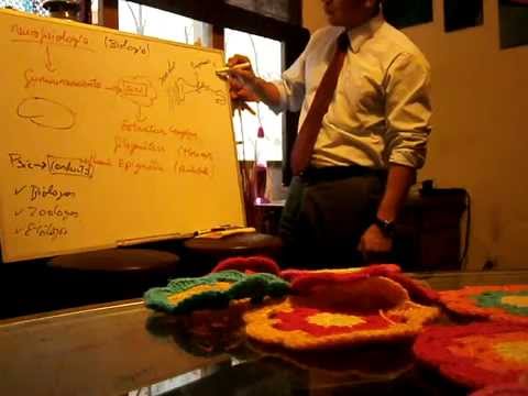 Clase de Neurofisiología 1