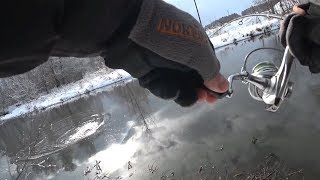 Ловится ли щука в феврале на спиннинг