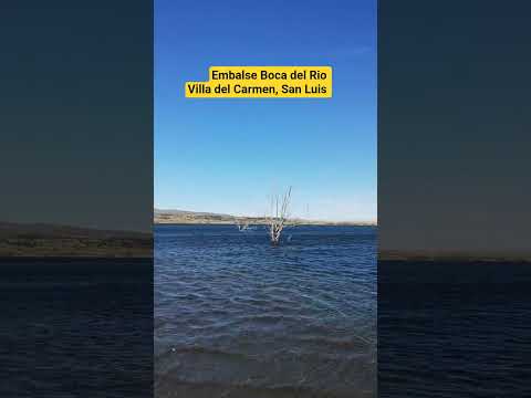 Seguime para más videos así #pesca #fishing #shorts #viral