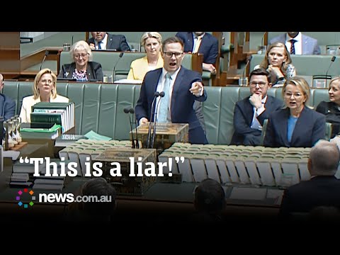 ‘Hopeless liar’: Alex Hawke unloads on the PM during question time