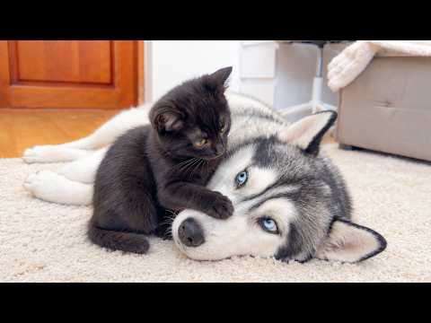 YouTube 썸네일