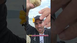 אתם חייבים לעשות את זה עם אתם רוצים לתפוס קרפיון גדול #fishing #carpfishing #דייגספורטיבי #דייג