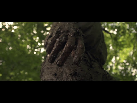 Seryn - "The Fire" (OFFICIAL MUSIC VIDEO)