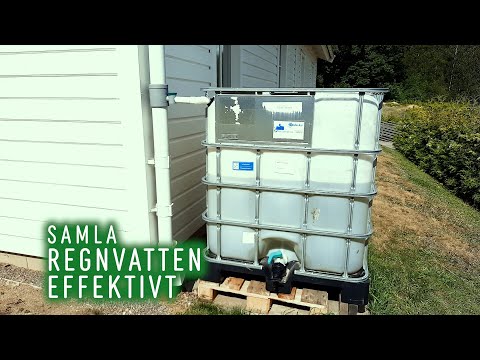 Hur vi kopplar IBC-tankar och samlar regnvatten snabbt till odlingarna.