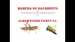 MARCHA DOS GAFANHOTOS com Albertinho Fortuna