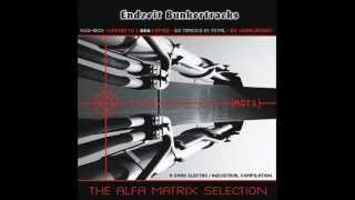 Assemblage 23 - Infinite (Glis Remix) (lyrics)