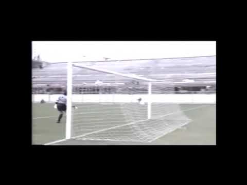 Giuliani Giuliano Pali dal 1980 al 1993 Como,Verona,Napoli,Udinese