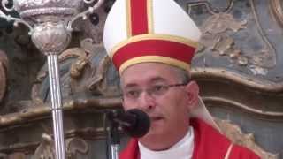 preview picture of video 'Entrada solene de D.António Moiteiro,Bispo de Aveiro - 8 - Recondução'