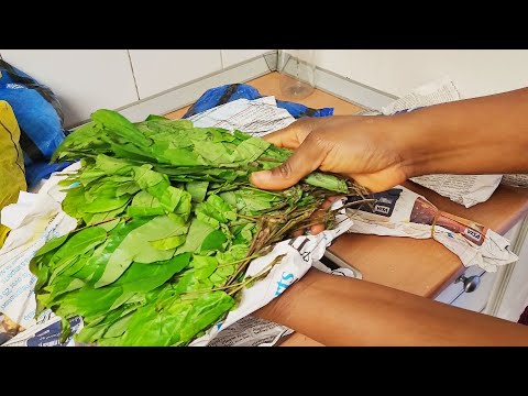 How to Store/Preserve Nigerian Food Ingredients When you Are Abroad | Best Practices | Flo Chinyere