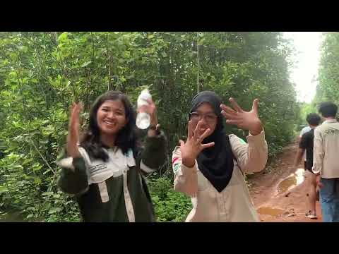 Inventarisasi dan Identifikasi Kawasan Hutan Mangrove (Hasil Hutan)