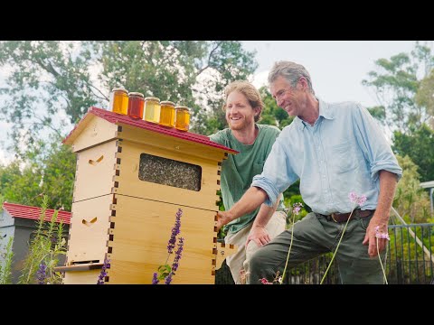 NATIONAL SIZE FLOW HIVE 🐝 - Image 2