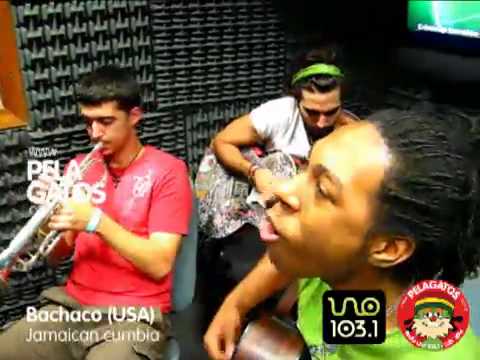 Bachaco - Reggae en PelaGatos - Jamaican cumbia