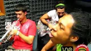 Bachaco - Reggae en PelaGatos - Jamaican cumbia