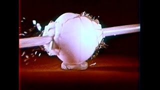 Terrifying Sea Lyric Video