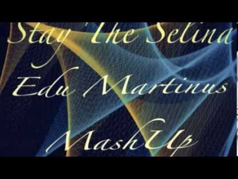 Stay The Selina (Edu Martinus MashUp) - Zedd & Hayley Williams vs. Brian Laruso FREE DOWNLOAD