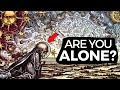 Don't Fear Being Alone: You NEED to Be | Here's Why