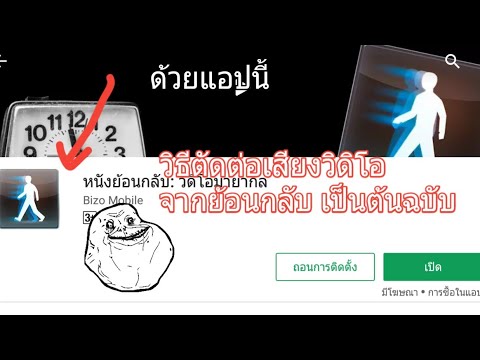 ผู้หญิงให้กับสมาชิกคนดำเนินการ อูฐท้องแรง
