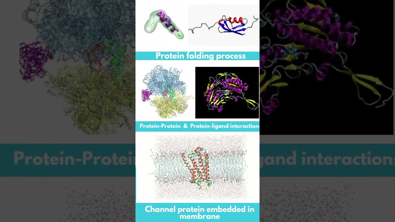 #Molecular Dynamics Simulation Explained!