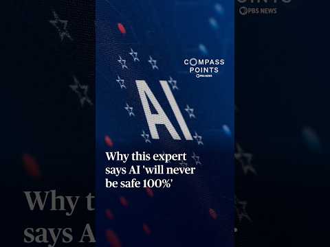 Why this expert says AI 'will never be safe 100%'