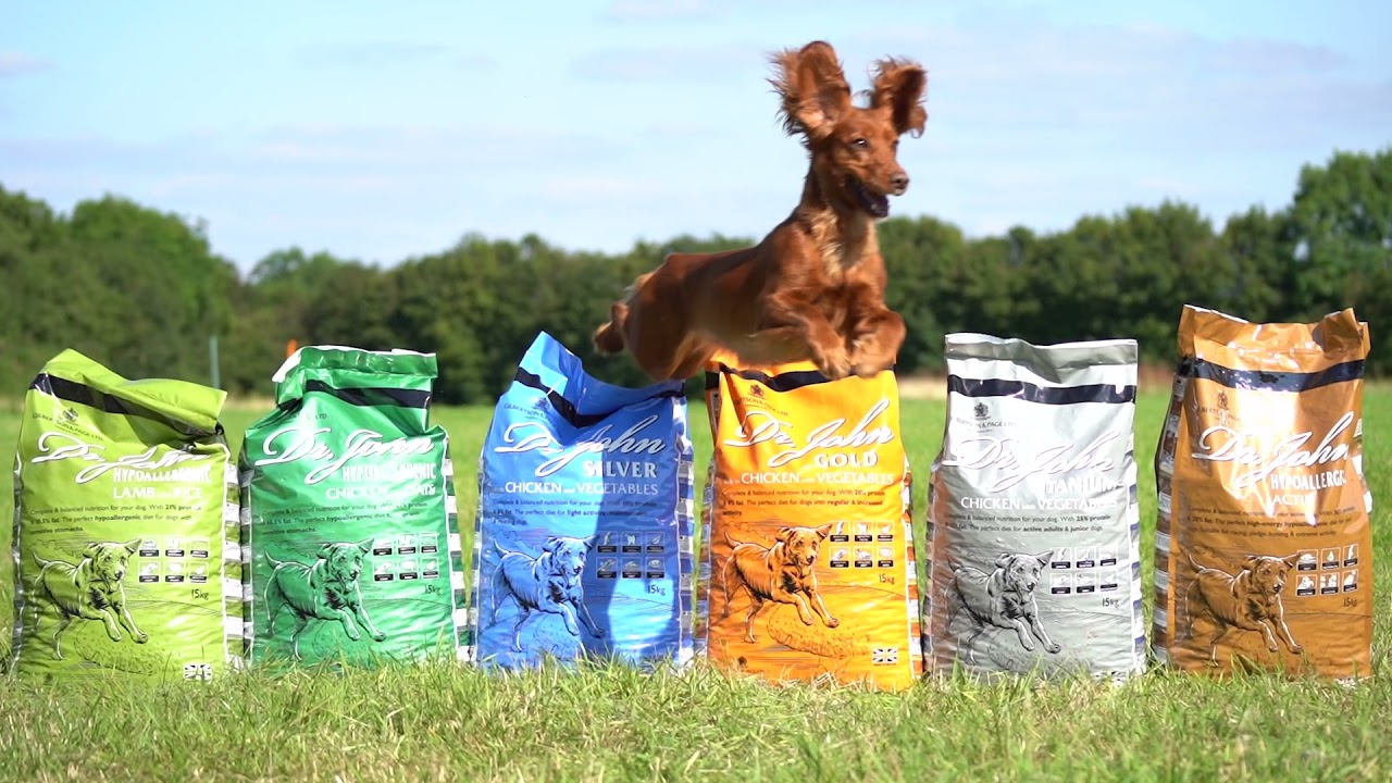 Watch video Leaping into the new week! Now Leaping into the new week!