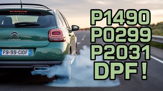 Citroen P1490 P0299 P2031 DPF! Particle Filter Detected To Be Overloaded FIXED!!!