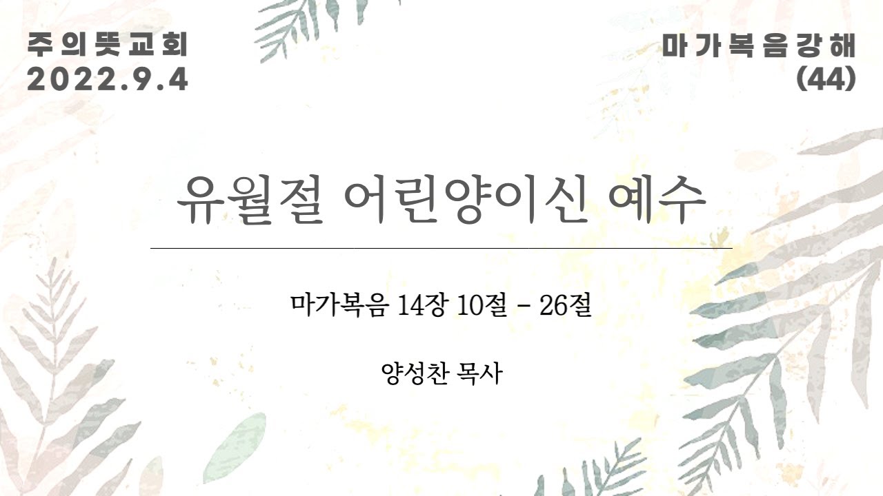 마가복음 강해(44), 마가복음 14장 10-26절, 양성찬 목사, 주의뜻교회 영상 썸네일